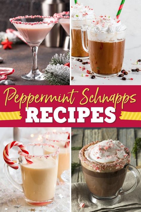 No holiday party is complete without these festive peppermint schnapps drinks. They're fresh, fun, boozy, and the perfect way to celebrate the season. Peppermint Schnapps Drinks, Schnapps Drinks, Peppermint Martini Recipe, Peppermint Cocktail, Peppermint Vodka, Holiday Drinks Alcohol, Peppermint Martini, Christmas Drinks Alcohol Recipes, Peppermint Schnapps