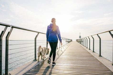 Will 10,000 Steps A Day Help You Lose Weight? Study Says It's Complicated Mental Balance, Healthy Inspiration, Body Connection, Indoor Gym, Improve Metabolism, Mind Body Connection, Circadian Rhythm, Positive Emotions, Brain Health