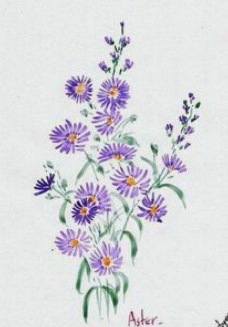 Aster Flower Drawing, Fashionable Tattoos, Flower Drawing Tattoo, Aster Tattoo, Aster Flower Tattoos, Tattoo Culture, Aster Flower, Wedding Printable, Drawing Tattoo