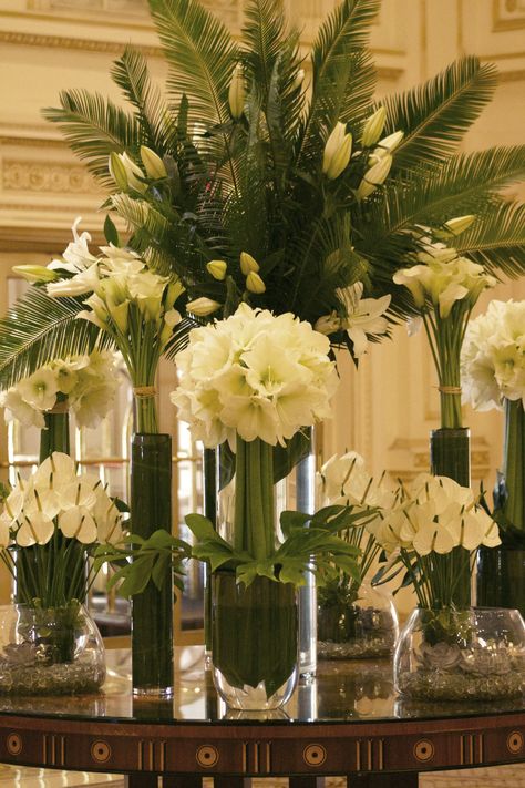 Elegant and simple white and green amaryllis, calla lilies, anthurium, and lilies. Hotel Lobby Floral Arrangements, Palm Arrangements, Calla Lily Arrangement, Lobby Flowers, Hotel Flower Arrangements, Vases With Flowers, Elegant Floral Arrangements, Tropical Floral Arrangements, Hotel Flowers