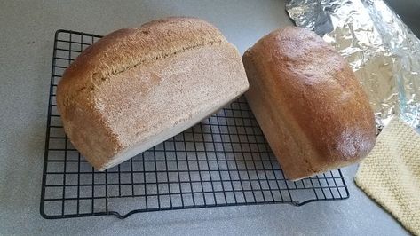 Whole Grain Wheat Bread Recipe - Food.com Bread Desserts, 100 Whole Wheat Bread, Wheat Bread Recipe, Brown Bread, Whole Wheat Bread, Wheat Bread, Pan Bread, Family Recipe, White Flour