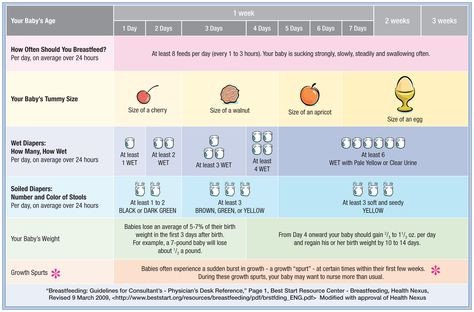 Breast Feeding chart, shows wet diaper amounts as well. Newborn Chart, Diaper Chart, Infant Feeding Guide, Baby Feeding Chart, Nursing Mother, Calm Quotes, Keep Calm Quotes, Breast Feeding, Baby G