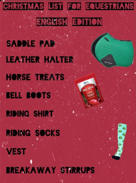 Equestrian Christmas List, What To Ask For Christmas, Equestrian Birthday, Equestrian Christmas, Western Ideas, Riding Shirts, Horse Treats, Leather Halter, Birthday List