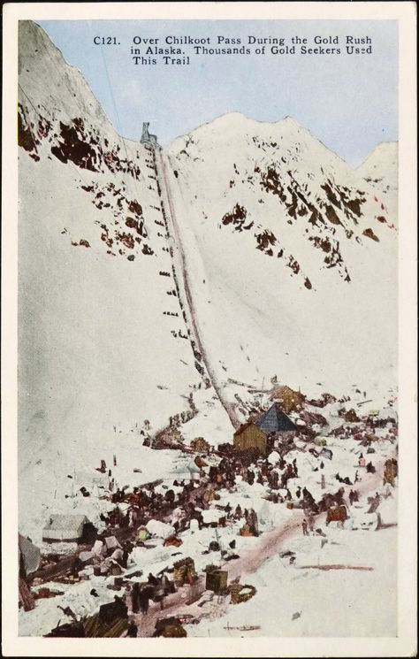 over-chilkoot-pass-during-the-gold-rush-in-alaska--thousands-of-gold-seekers-used-this-trail-postcard-c121-hht-co-1920s_34634483505_o #postcards #collectables #vintage #Retro #photos #art #austria Alaska Gold Rush, Alaska Postcard, Chilkoot Trail, Klondike Gold Rush, Vintage Alaska, The Gold Rush, Retro Photos, Oregon Trail, Jack London