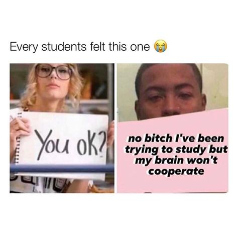 University Memes, College Memes, School Memes, My Brain, School Humor, Really Funny Memes, Funny Facts, Funny Posts, Memes Quotes