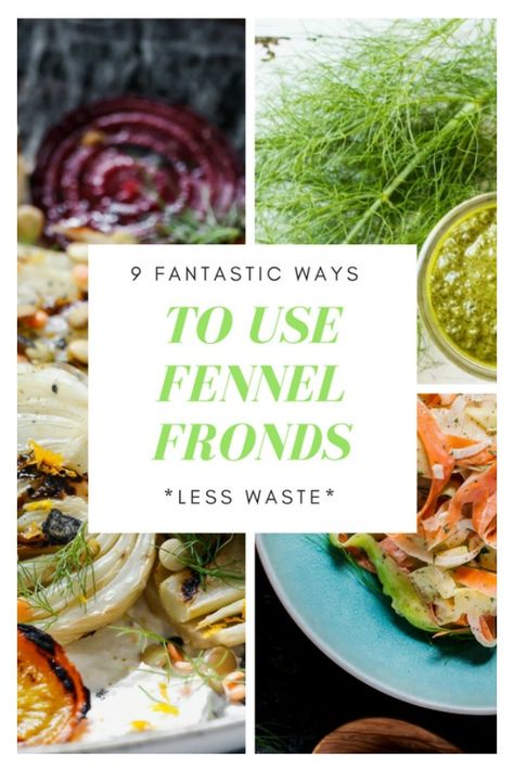 Fennel Greens Recipes, What To Do With Fennel Tops, Fennel Leaves Recipes, Cooking With Fennel, Fennel Fronds Recipes, Fennel Tops Recipes, What To Do With Fennel, Fennel Stalks Recipes, Recipes Using Fennel