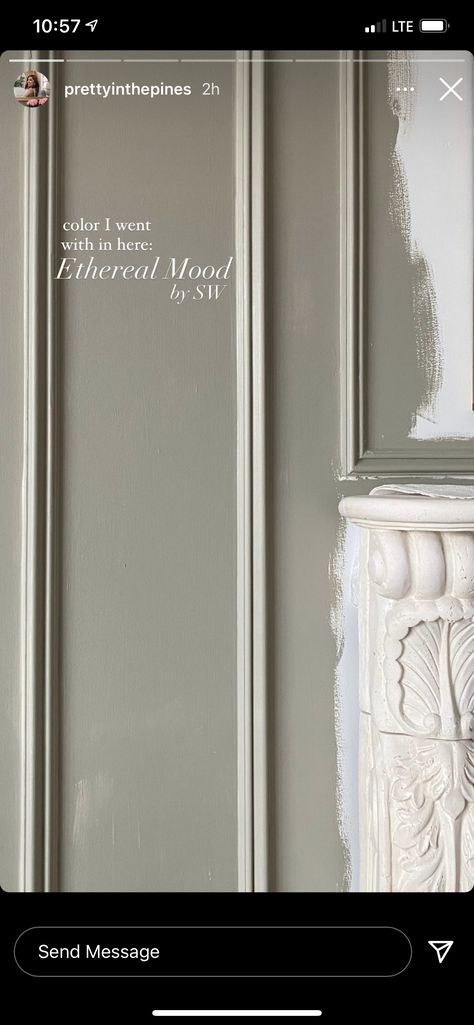 How To Quickly Paint A Room, Painted Moulding Ideas, Hammered Zinc Sherwin Williams, Serene Paint Colors, Ethereal Mood Sherwin Williams Cabinets, Terrain Sherwin Williams, Cromwell Gray Benjamin Moore, Moody Neutral Paint Colors, Moody Sherwin Williams Paint Colors