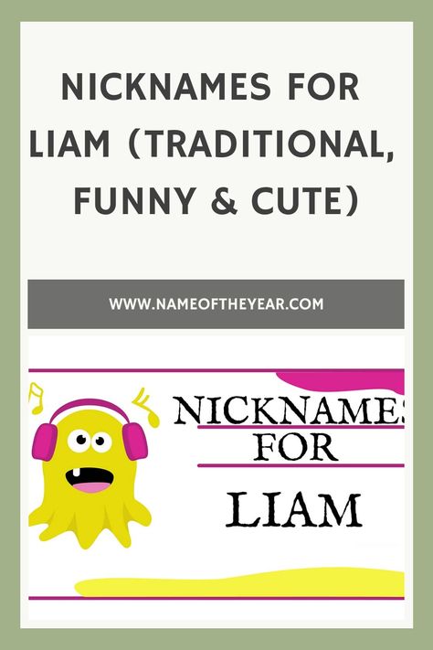 Nicknames for Liam (Traditional, Funny & Cute) Funny Nicknames, Traditional Names, Cute Nicknames, Classic Names, Irish Culture, Given Name, Cute Names, Names With Meaning, Baby Names