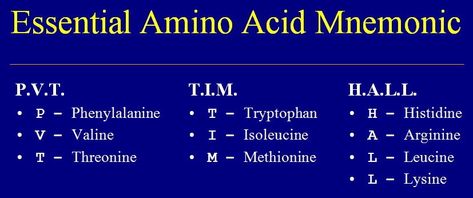 A simple mnemonic for remembering the essential amino acids - PVT TIM HALL. P.V.T. P = Phenylalanine V - Valine T - Threonine T.I.M. T - ... Amino Acids Mnemonic, Amino Acids Food, Organic Chem, Medical Laboratory Scientist, Medical Mnemonics, Mcat Study, Biology Classroom, Chemistry Jokes, Essential Amino Acids