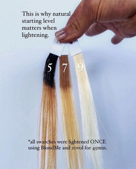 Hair Lift Levels, Haircolor Technique, Hairstylist Tips, Ice Blond, Beige Balayage, Hair Dye Techniques, Hair Levels, Hair Science, Redken Hair Color