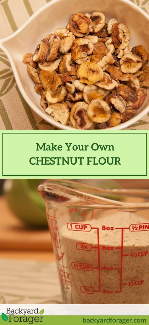 Make Your Own Flour, Chestnut Flour, How To Make Flour, Fantasy Food, Frugal Recipes, Spice Mix Recipes, Foraged Food, Coffee Bean Grinder, Mix Recipes