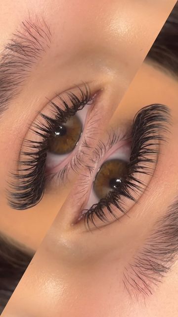 Mascara Lash Extensions Look, Last Extensions Styles, D Curl Cat Eye Lash Extensions, Wet Sets Lash Extensions, Asian Lashes Extensions, Brown Wet Set Lashes, Wet Hybrid Lash Extensions, Wet Volume Lash Extensions, Types Of Lashes Extensions