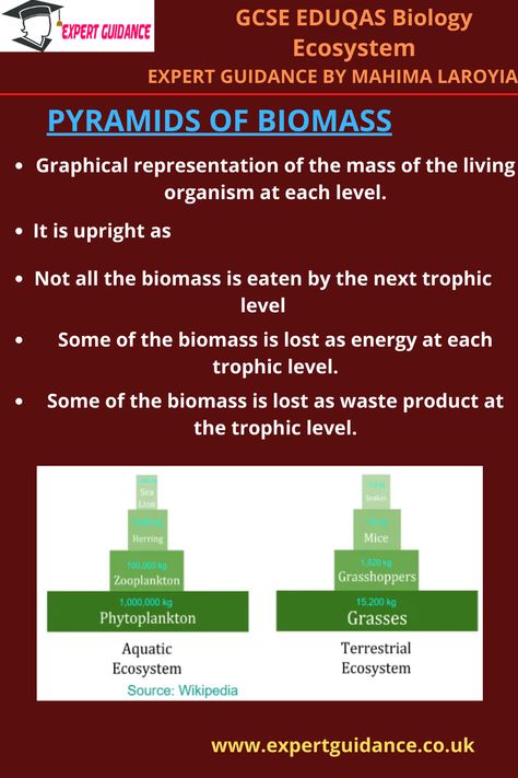 Gcse Biology, Summary Notes, Trophic Level, Biology Revision, Carbon Cycle, Revision Notes, Food Production, Land Use, Waste Management