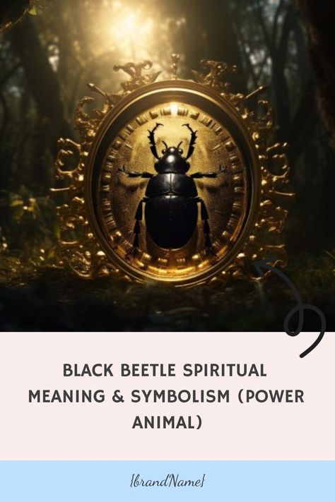 Beetle encapsulated in a golden frame with mystical forest background, highlighting spiritual meaning and symbolism. Beetle Spiritual Meaning, Beetle Symbolism, Bee Spiritual Meaning, Black Beetle, Animal Spirit Guides, Black Bee, Animal Guides, Animal Spirit, Power Animal