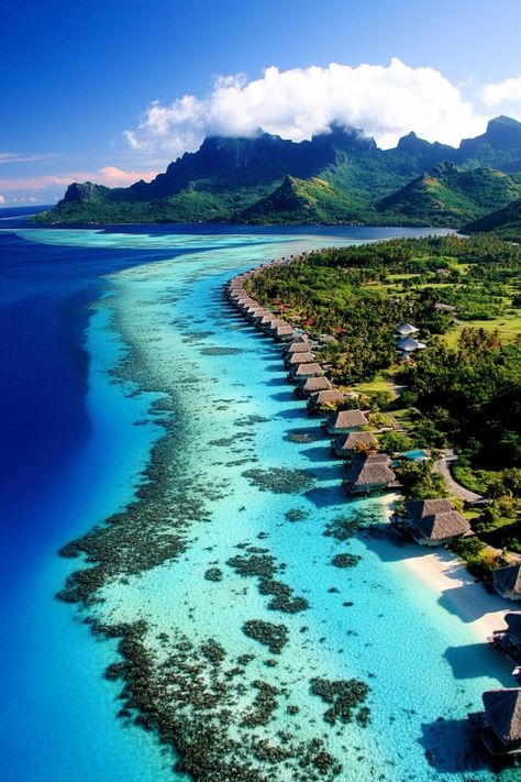 Indulge in a Luxurious Beach Escape in Bora Bora 🏝✨ Relax on the pristine beaches of Bora Bora, enjoy overwater bungalows, and experience the turquoise waters of this tropical paradise. 🌿🌞 #BoraBora #BeachEscape #TropicalParadise #TravelInspiration French Polynesian Islands, Bora Bora French Polynesia, Overwater Bungalows, Landscape Quilts, French Polynesia, Bora Bora, Turquoise Water, Beautiful Places To Visit, Tropical Paradise