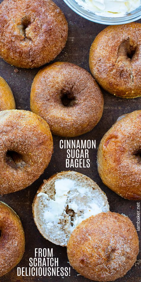 Bagel Recipe Toppings, Cinnamon Sugar Sourdough Bagels, Bagel Recipes Breakfast, Recipes With Yeast Baking, Spinach Bagel Recipe, Cinnamon Bagels Topping, Homemade Cinnamon Bagels, Bagel Recipe All Purpose Flour, Cinnamon Swirl Bagels