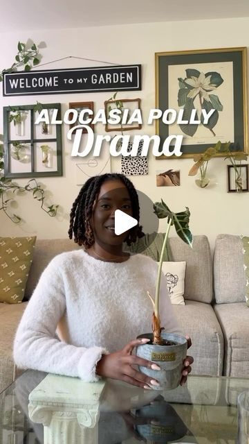 Anti Social Plant Club on Instagram: "My Alocasia Polly is a MOTHA’ 🥹🍼🤰🏾Please keep her and her 9 babies in your prayers! 🙏🏾

📸: @blossomeffect_ 

#plantmom #plants #plantsmakepeoplehappy #plantlover #alocasiapolly" Alocasia Polly, Plant Mom, Anti Social, Water Plants, Plant Lover, Horticulture, Indoor Plants, Queen, Plants