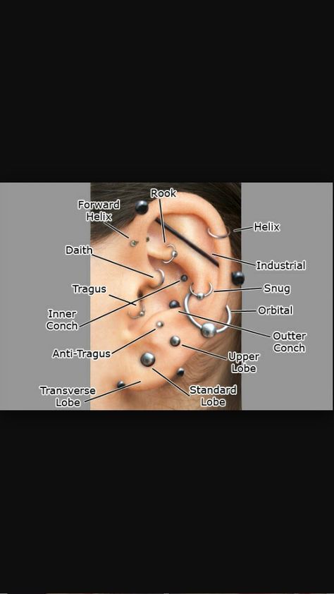 Absolutely love piercings! Love Piercings, Ear Cartilage Piercing, Anti Helix, Anti Helix Piercing, Anti Tragus, Forward Helix, Helix Piercing, Cartilage Piercing, Tragus