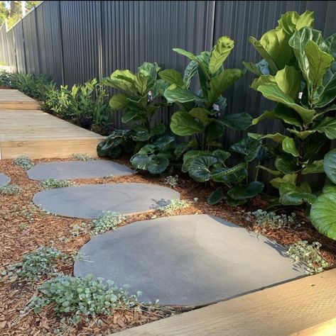 Bluestone Organic Stepping Stones | Cinajus Stepping Stones Pathway Side Of House, Gravel Steps, Pool Fencing Landscaping, Bluestone Steps, Bluestone Paving, Stepping Stone Pathway, Garden Pavers, Side Yard Landscaping, Walkway Landscaping