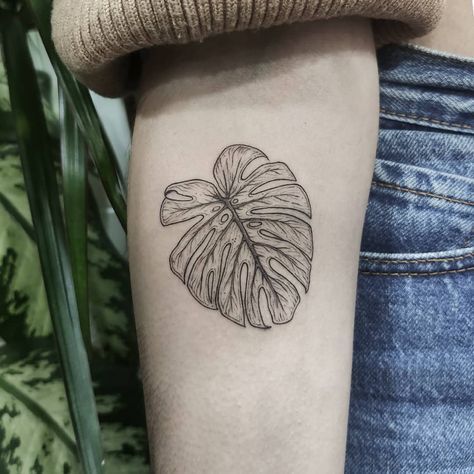 Melanie Benyahya on Instagram: “🌿 monstera deliciosa 🌿 ¡muchas gracias, Patri! 😍 . . . . .  #monstera #monsteradeliciosa  #botanicaltattoo #botanical #tattoo #linework…” Monstera Deliciosa Tattoo, Monstera Tattoo Design, Monstera Leaf Tattoo, Bands Tattoo, Botanical Sleeve, Monstera Tattoo, Blatt Tattoos, Filler Tattoos, Tattoo Linework