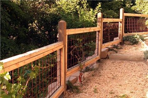 Grace Design Associates Santa Barbara, CA "The open lattice style of this fence allows plants to grow up and along the fence. In a few years it will be covered with ivy and blend effortlessly into the rest of the landscape. Pressure treated wood is best for a fence like this because it won't rot or become infested with insects." Short Fence Ideas, Hog Panel Fence, Hog Panel Fencing, Hog Wire Fence, Small Garden Fence, Short Fence, Panel Fence, Fenced Vegetable Garden, Garden Fence Ideas