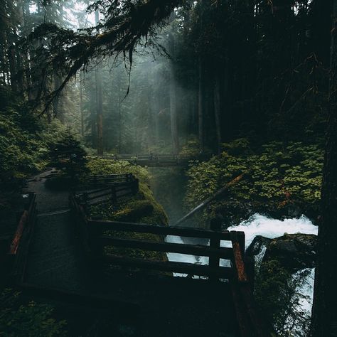 Pacific Northwest Gothic, Northwest Gothic, Regional Gothic, Pnw Forest, Forest Scenery, American Gothic, Forest House, Pacific Northwest, North West