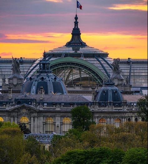 Grand Palais Paris, Inside And Outside, Grand Palais, Taj Mahal, The Outsiders, Instagram Profile, Paris, House Styles, Building