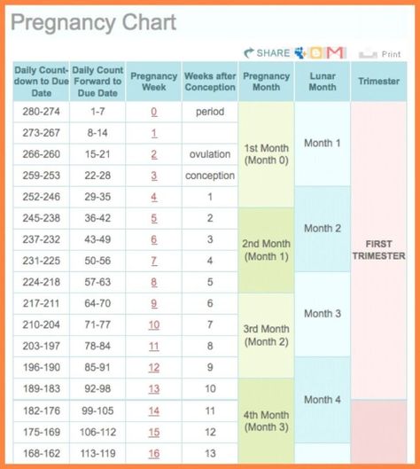 Enter your pregnancy due date or childs birthday below for a personalized weekly calendar that. On this website you can find a handy calendar that will show all days of your pregnancy With it you know exactly in which week month and trimester you. Pin... The post Pregnancy Week By Week Calendar Printable first appeared on Free Printable Calendar Monthly. Trimester Chart, Due Date Calculator, Pregnancy Chart, Ovulation Calendar, Trimester By Weeks, Pregnancy Due Date, Marketing Calendar Template, Pregnancy Calendar, Calendar Week