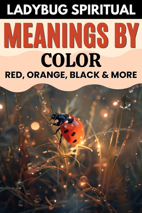 Illustrated ladybugs by color. Black Ladybug Spiritual Meaning, Black Ladybug Meaning, Ladybug Spiritual Meaning, Ladybug Meaning, White Ladybug, Yellow Ladybug, Totem Animals, Black Ladybug, Lady Bug Tattoo