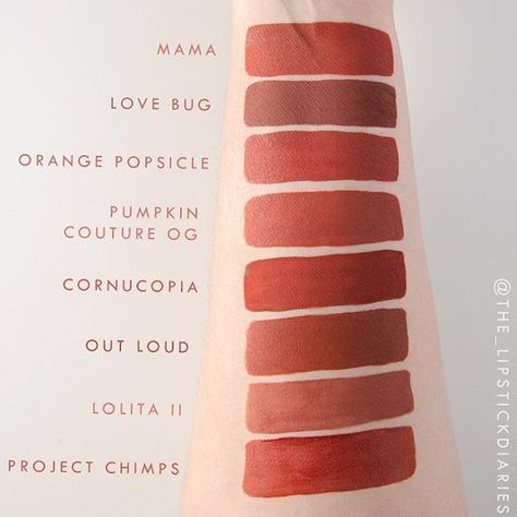 Rose Lips, Pumpkin Spices, Maybelline Lipstick, Lip Colours, Color Terracota, Batons Matte, Rose Lipstick, Lipstick Swatches, Pretty Faces