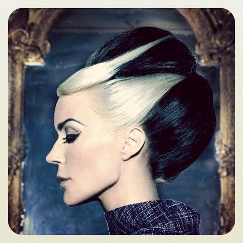 Frankenstein Hair, Bride Of Frankenstein Hair, White Streak In Hair, Daphne Guinness, Bride Of Frankenstein, Instagram Style, Hair Colours, Beauty Portrait, Kat Von