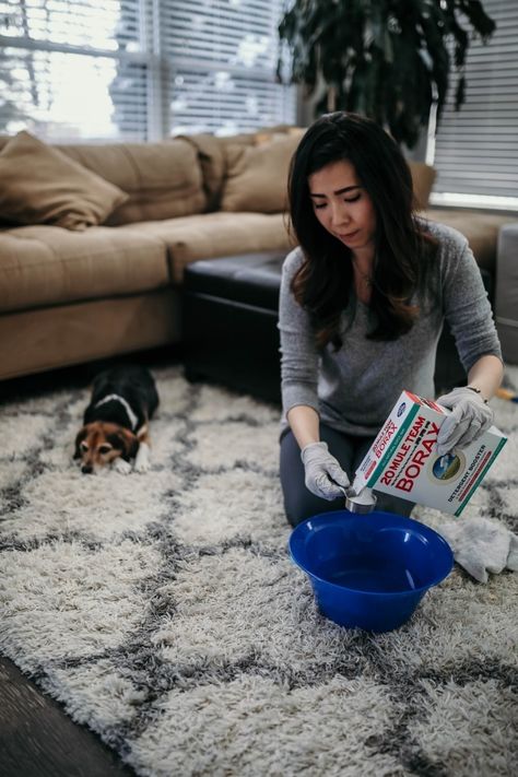 Borax can help you remove pet urine odor easily and naturally. Mix ¼ cup Borax, ¼ cup Salt and ¼ cup Vinegar with one pint of water. Then, use a clean towel or sponge to apply the mixture to your stain. Let it sit for 30 - 45 minutes. Then, vacuum your carpet until dry. Click to see the full recipe and to learn more tips for using Borax around your home.  📷: @simplyeveryblog  #springclean #springcleaning #odorremoval #freshencarpets #cleaningtips #cleaninghacks #BoostwithBorax #BoostLikeABoss Remove Urine Smell, Cleaning Pet Urine, Pet Urine Smell, Dog Pee Smell, Borax Cleaning, Pee Stains, Pee Smell, Cleaning Diy, Urine Odor