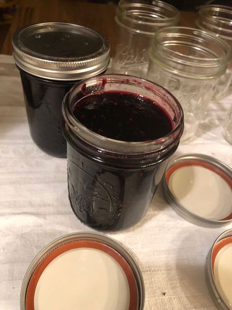 Taste Of The Woods - Oregon Grapes Jam Oregon Grape Recipes, Dried Meat Recipe, Food Canning, Homemade Goods, Homemade Jams, Grape Jam, Oregon Grape, Grape Recipes, Raspberry Seeds