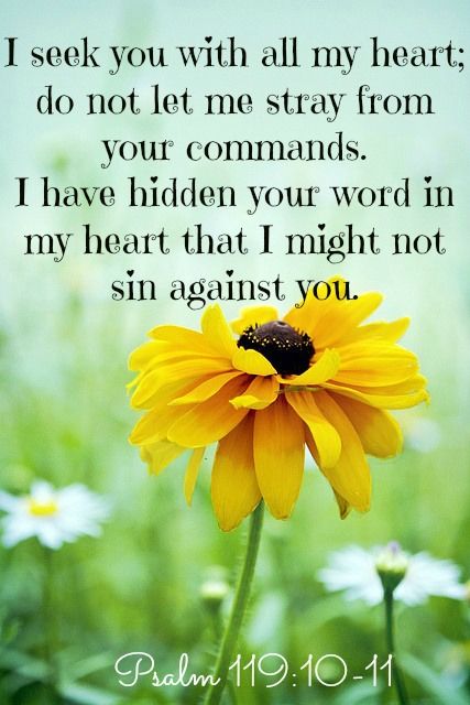 Psalms 119, Hidden Words, Book Of Psalms, Thy Word, All My Heart, Psalm 119, Biblical Quotes, Favorite Bible Verses, With All My Heart