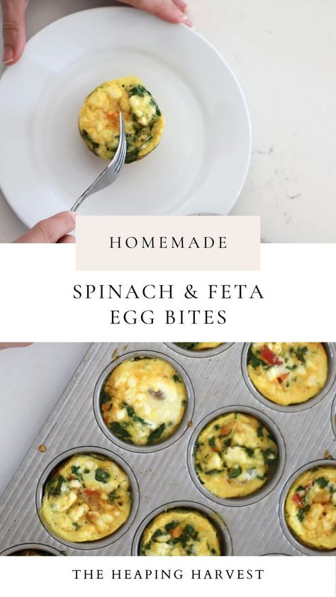 Spinach and Feta Egg Bites for an Easy and Healthy Breakfast Easy Breakfast Bites Healthy, Freezer Breakfast Egg Bites, Egg Bites Breakfast Recipes, Breakfast Egg Bites Healthy, Egg Bites Spinach Feta, Spinach Egg Recipes Healthy, Break Fast Healthy Easy Recipes, Spinach And Feta Egg Cups, Tomato Feta Egg Bites