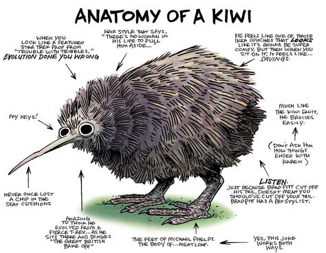 Baby Kiwi, Funny Animals With Captions, Kiwi Bird, 8bit Art, Curious Creatures, Silly Animals, Animal Sketches, Anime Drawings Tutorials, Cute Creatures