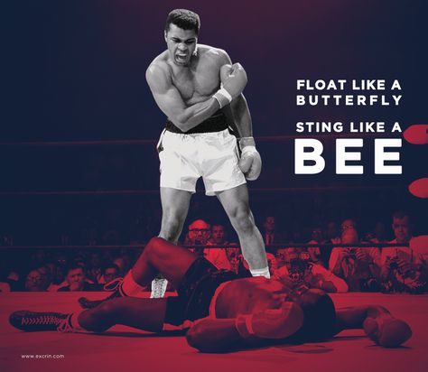 "Float like a butterfly, sting like a bee" Those epitomized words of the boxer with the said unorthodox style still being heard around the court. The king of "Talking Trash" Muhammad Ali. A champion not in the rings alone but a champion of civil rights and one who serves as a role model for every boxing professional. Sir Muhammad Ali, may you rest in peace. Fly Like A Butterfly Sting Like A Bee, Float Like A Butterfly Sting Like A Bee, Sting Like A Bee, Mohammed Ali, Float Like A Butterfly, Like A Butterfly, The Boxer, Role Model, Muhammad Ali