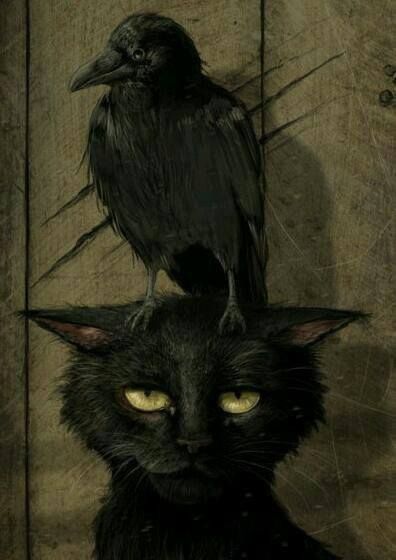 Black Crows, Black Crow, Art Cat, Crows, Dracula, Painting Inspiration, All Art, Art Designs, New Books