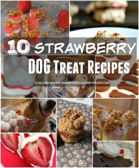 Homemade Dog Cookies, Puppy Obedience Training, Dog Biscuit Recipes, Easiest Dogs To Train, House Training Dogs, Treat Recipes, Healthy Dog Treat Recipes, Dog Cookies, Dog Biscuits