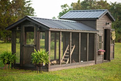 Chicken Coop Hillside, Greenhouse With Chicken Coop, Chicken Coop House Ideas, Interior Chicken Coop Ideas, Large Chicken Coop Ideas, Green Chicken Coop, Chicken Coop Interior Ideas, Chicken Coop Greenhouse, Chicken Coop And Run Ideas