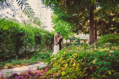 Set among the pines, just a short distance from Ragged Point on California's coast line, Cambria Pines Lodge is an inspired setting for a romantic wedding. Coast Line, Dark Vintage, The Pines, Wedding Event Venues, Outdoor Reception, Lodge Wedding, Wedding Outdoor, Coast Wedding, California Coast