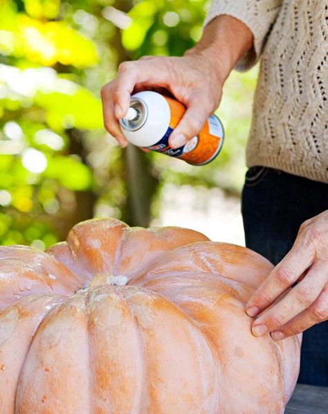 Step 1: Spray with adhesive Planter Centerpiece, Succulent Pumpkin, Planting Pumpkins, Pumpkin Diy, Pumpkin Planter, Pumpkin Centerpiece, Pumpkin Arrangements, Pumpkin Display, Pumpkin Designs