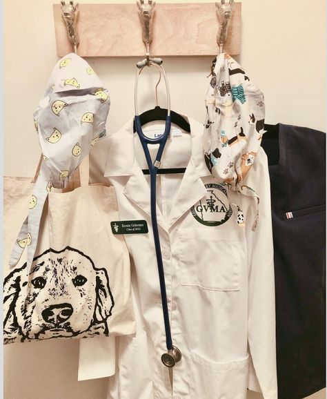 Veterinary Technician Student Aesthetic, Colorado State University Vet School, Vet School Acceptance, Veterinarian Aesthetic, Equine Medicine, Wildlife Vet, Veterinary Technician Student, Pre Vet, Vet Aesthetic