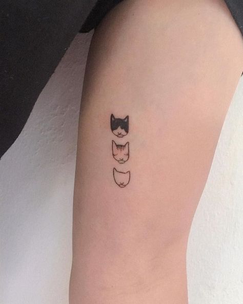 A minimalist cat tattoo can be a charming and subtle way to express your love for felines. Consider a simple outline of a cat's silhouette, perhaps with clean lines and minimal detail. You could opt for a small design on your wrist, ankle, or behind the ear for a discreet yet stylish look. Black ink tends to work well for minimalist tattoos, but you could also explore other subtle colors if you prefer. Just ensure you find a talented tattoo artist who specializes in minimalist designs Cat Dog Tattoo Minimalist, Cat Tattoo Back Of Arm, Cat Memorial Tattoo Fine Line, Small Line Cat Tattoo, Multi Cat Tattoo, Three Cat Tattoo Design, Personal Cat Tattoo, Cat Head Tattoo Simple, Personalized Cat Tattoo