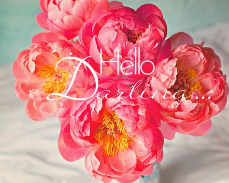 Hello Darling... Hello Darling, Lovely Things, Another One, Color Inspiration, Peonies, Beautiful Places, My Favorite, Flowers, Pink