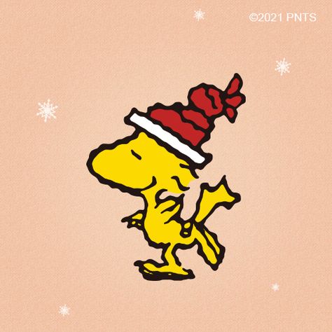 Snoopy December, Christmas Widgets, Charlie Brown Characters, Christmas Cartoon Characters, Woodstock Snoopy, Woodstock Peanuts, Snoopy Images, Peanuts Cartoon, Snoopy Wallpaper