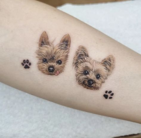 Chorkie Tattoo, Small Yorkie Tattoo, Yorkie Terrier Tattoo, 2 Dogs Tattoo, Yorkshire Terrier Tattoo, Yorkie Tattoo, Pet Portrait Tattoos, Dog Ear Tattoo, Inked Illustration