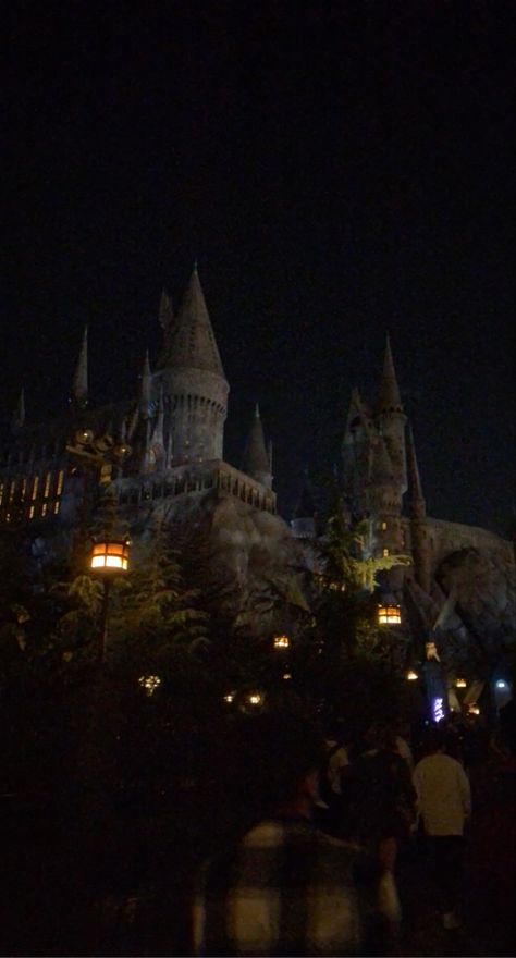 Harry Potter ravenclaw slytherin griffendor hufflepuff hogwarts la los angels universal studios Hogwarts Night, Harry Potter Life Quiz, Harry Potter Park, Hogwarts Visuals, Hogwarts Dr, Too Real, Horror Nights, Theme Parks, Ravenclaw