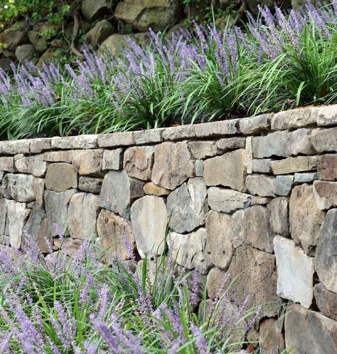 Stone Wall Garden Ideas, Dry Stone Wall Garden, Stone Wall Landscape, Stone Wall Garden, Wall Garden Ideas, Dry Stack Stone Wall, Stack Stone Wall, Field Stone Wall, Natural Stone Retaining Wall