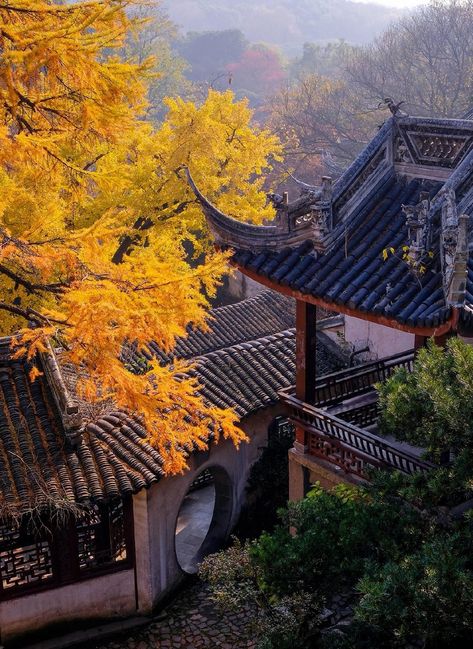 Ancient Chinese Architecture, Chinese Aesthetic, Japan Architecture, Chinese Garden, Autumn Morning, Aesthetic Japan, Chinese Architecture, China Travel, Painting Videos